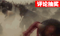 #评论抽奖#【诸葛】田单!火牛阵